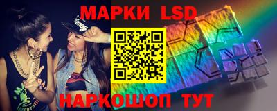 шишки Обь