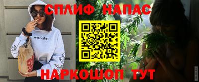 шишки Обь